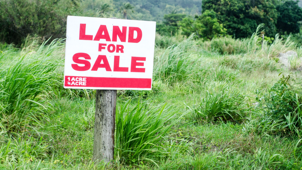 Ultimate Guide to Dirt-Cheap Land for Sale in Florida