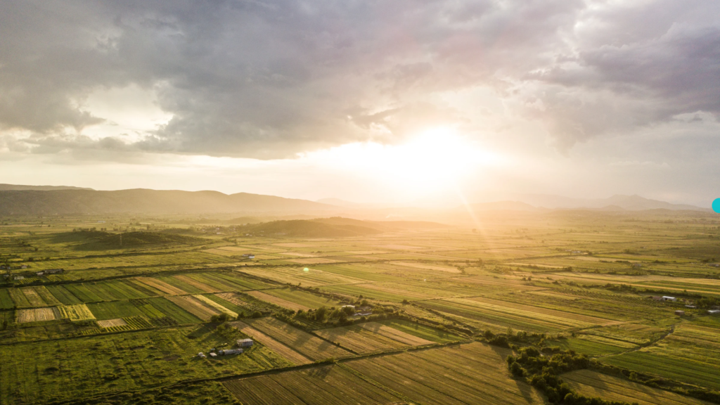 Buying Land in Florida