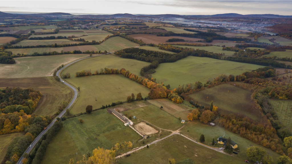 Buying Land in Florida